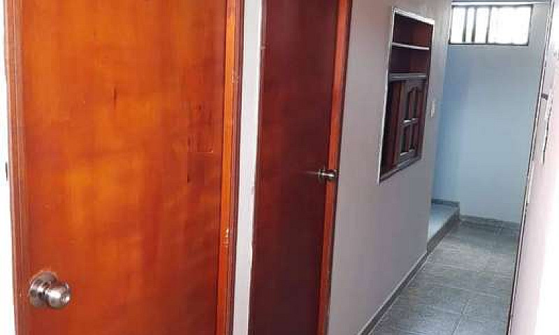 Renta Apartamento Re...