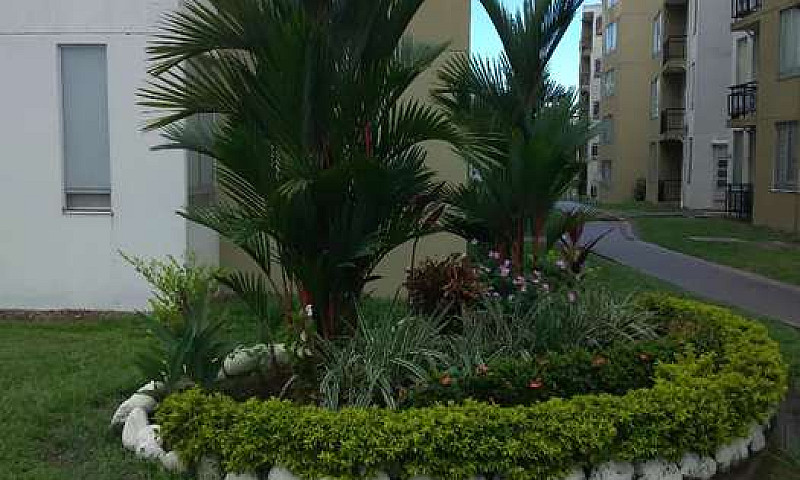 Arriendo Apartamento...