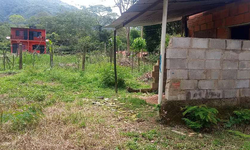 Casa Lote En Villavi...