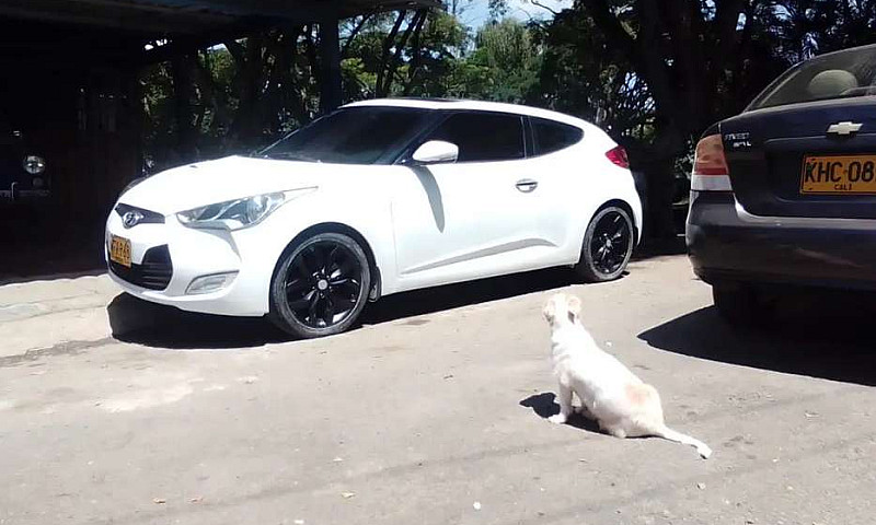 Carro En Excelente E...