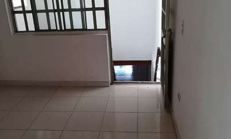 Local Barzal Bajo...