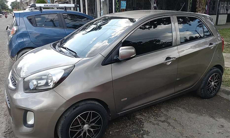 Picanto Suma...