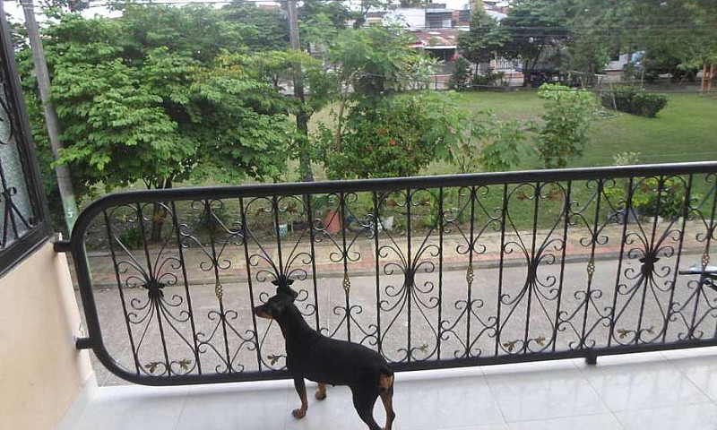 Se Arrienda Apartame...