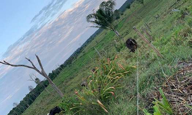 Se Vende Finca En Pt...