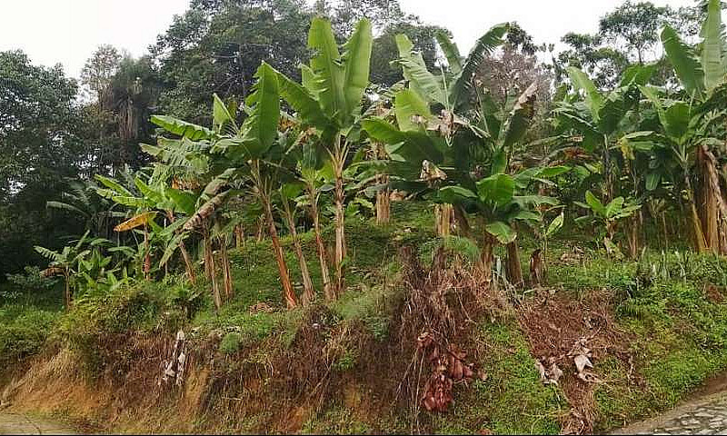 Venta Casa Finca  Pe...