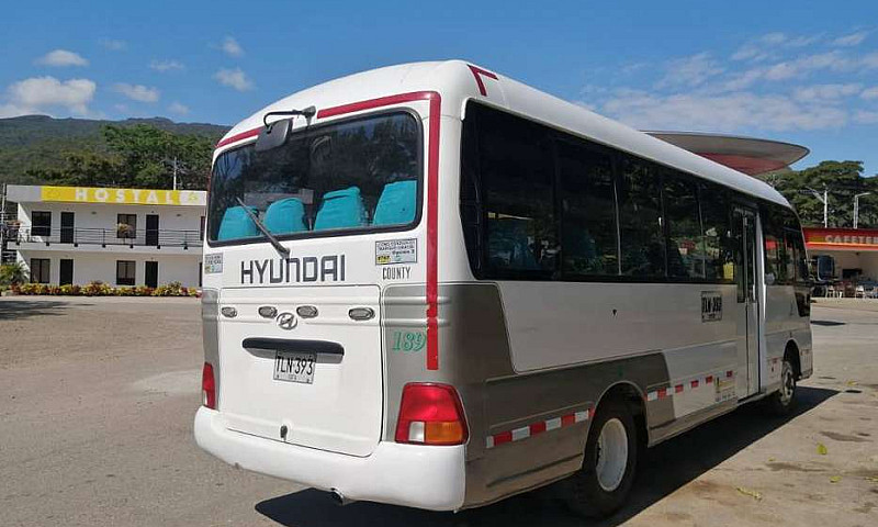 Buseta Hyundai Count...