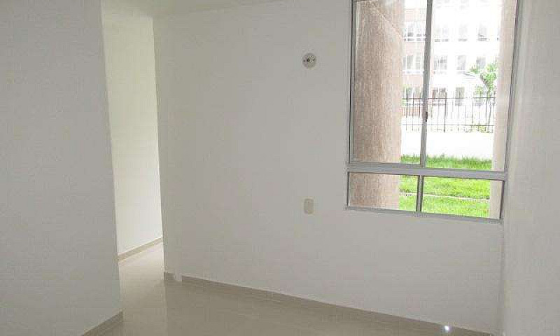 Conjunto Arauco Amar...
