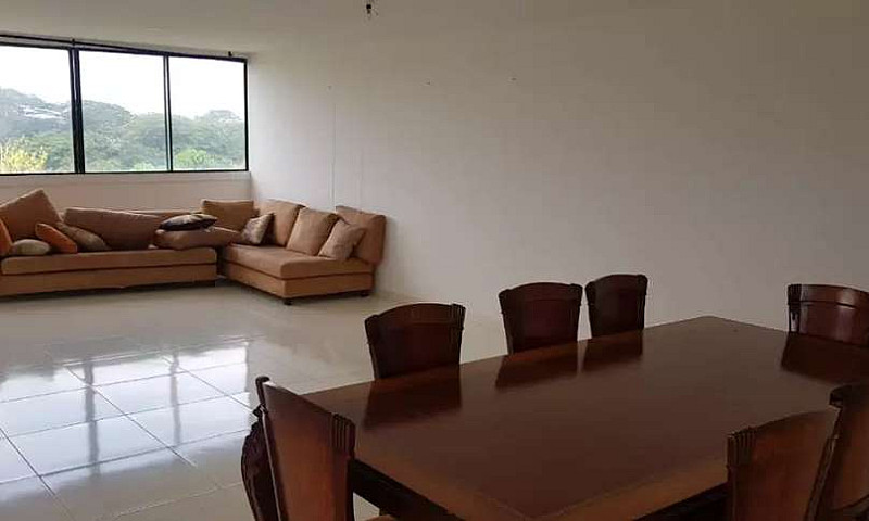 Vendo Apartamento Du...