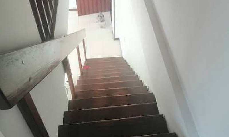 Alquilo Apto Duplex ...