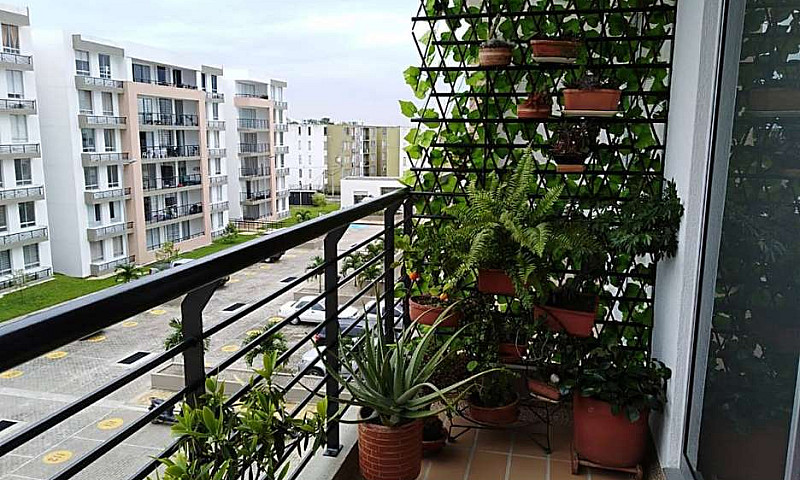 Venta Apartamento...