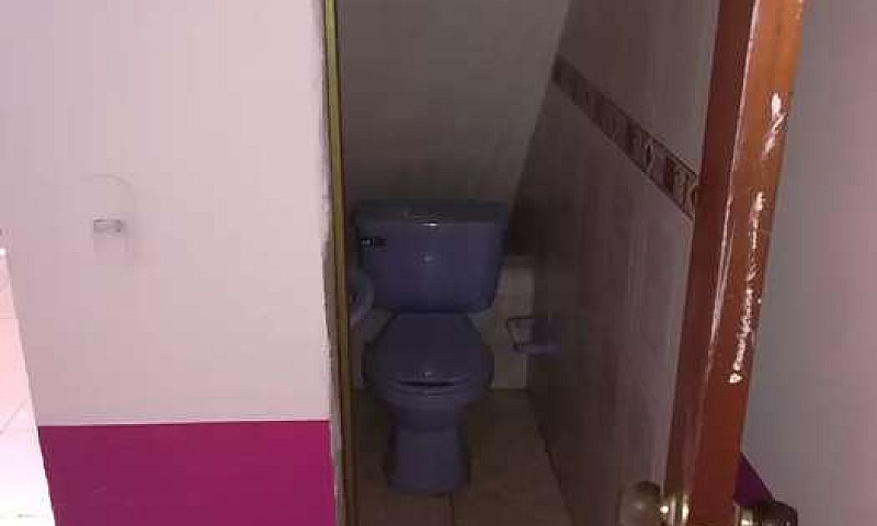 Local Barzal Bajo...