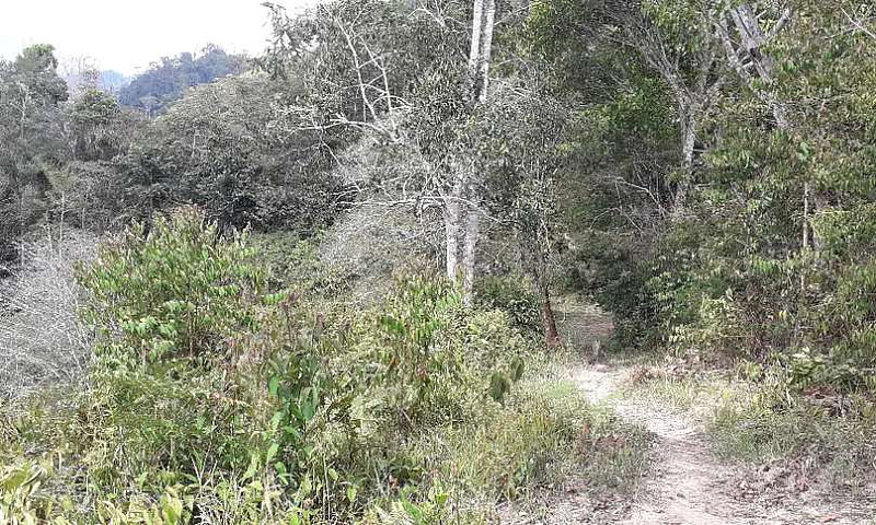Vendo Finca De 18 Ha...