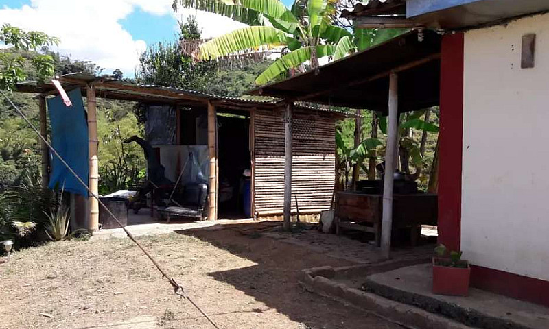 Se Vende Finca...