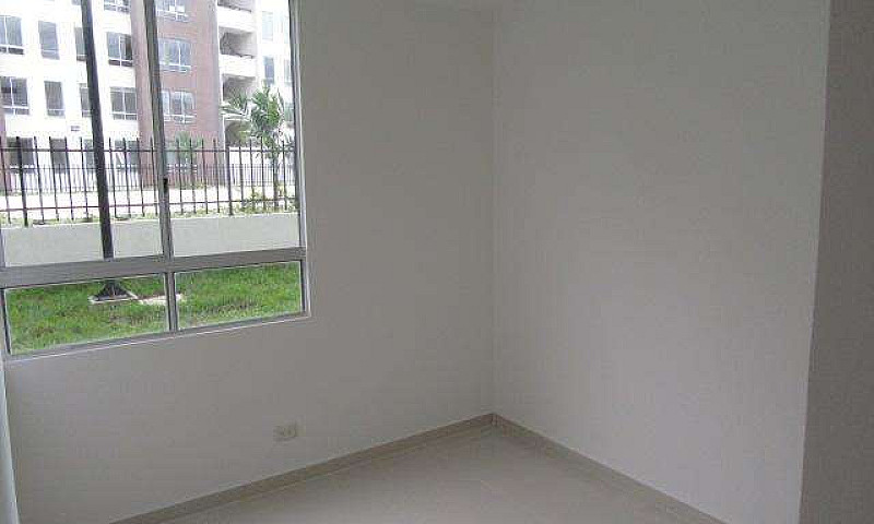 Conjunto Arauco Amar...