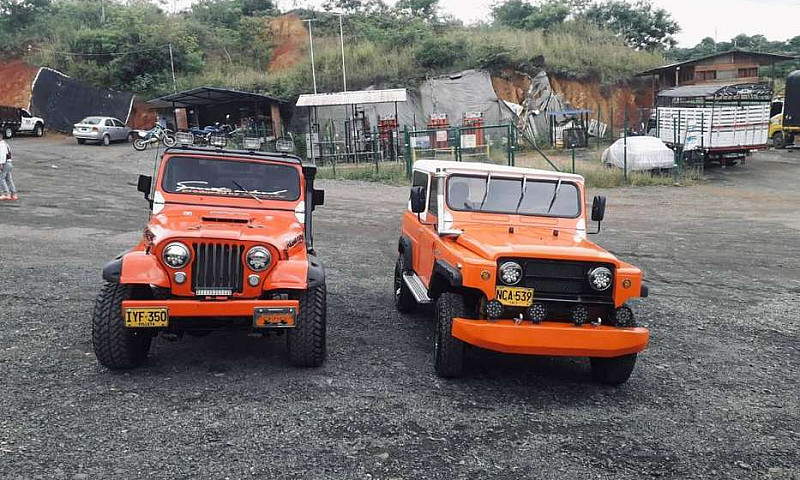 Vendo Jeep-Willys...