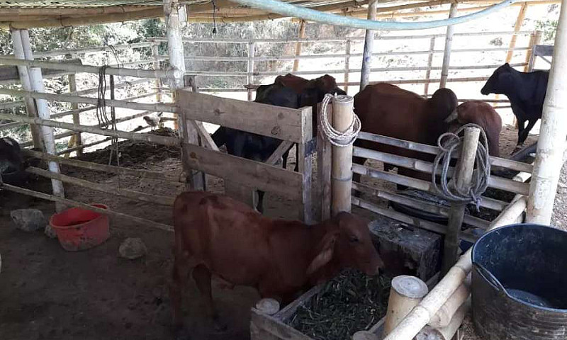 Se Vende Finca...