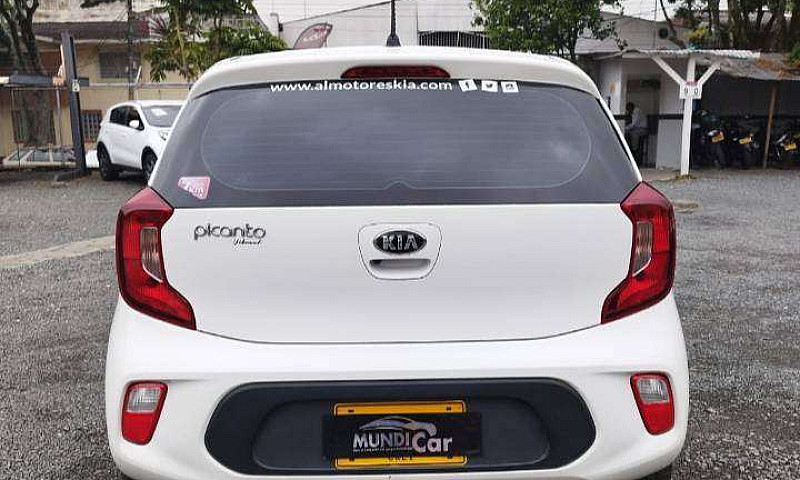 Kia Picanto Vibrant ...