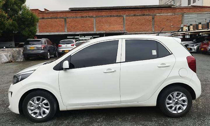 Kia Picanto Vibrant ...