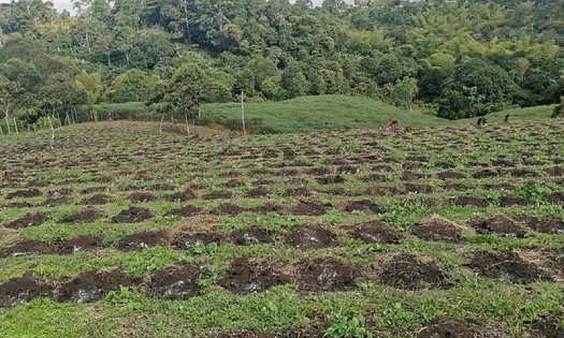 Vendo Linda Finca...