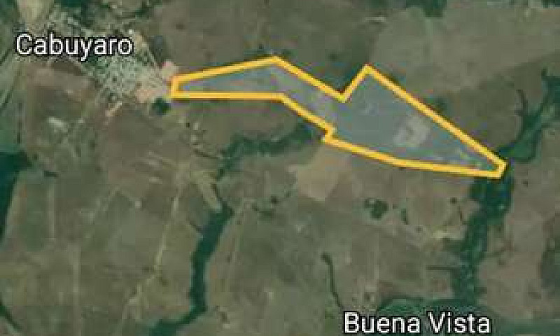 Finca Cabuyaro...