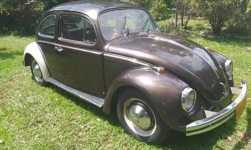 Hermoso Vw  Escaraba...
