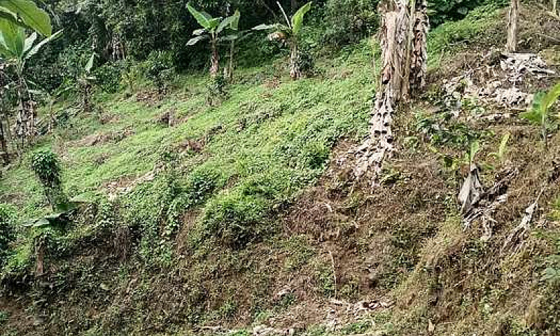 Linda Finca De Tres ...