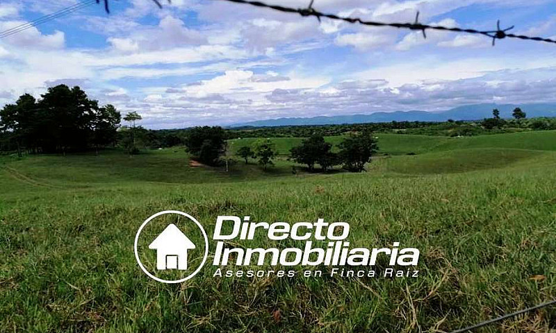 Finca En Venta En Ba...