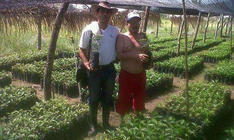 Finca Productora De ...