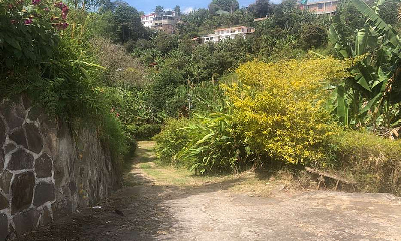 Finca De Cinco Casas...