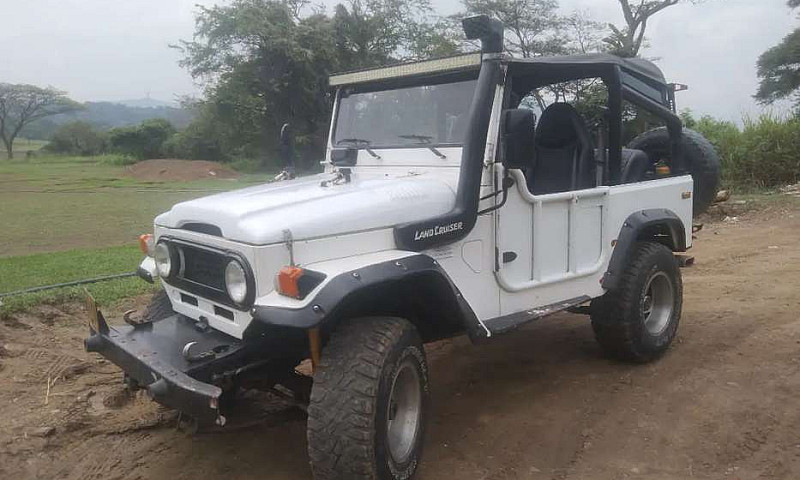 Vendo Toyota Fj40, M...