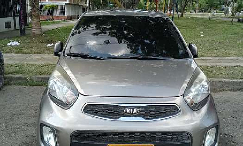 Picanto Suma...