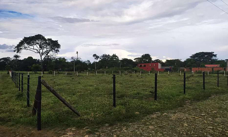 Lote De 1.292 Metros...