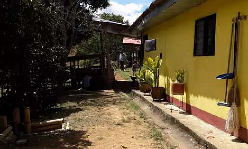 Se Vende Finca...
