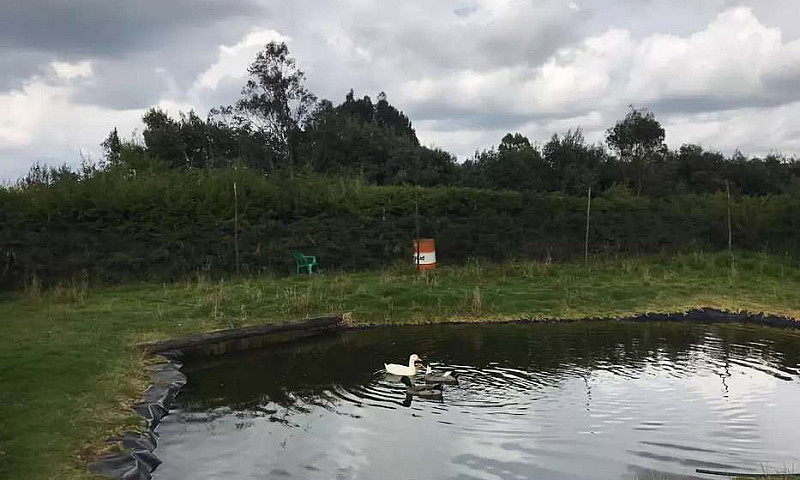 Vendo Finca En Guasc...