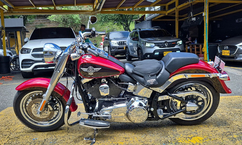 Harley Davidson Flst...