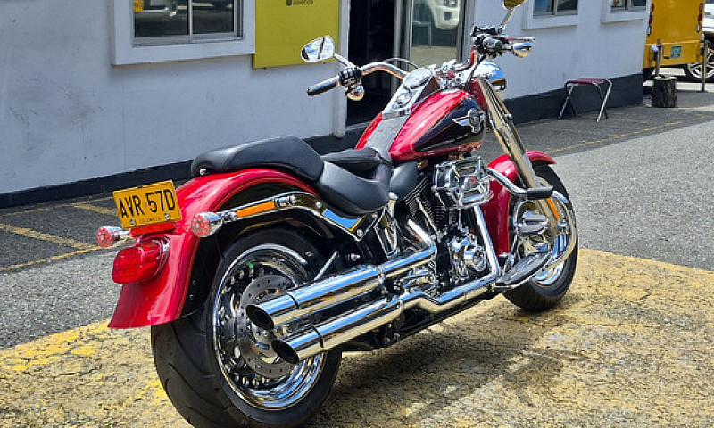 Harley Davidson Flst...