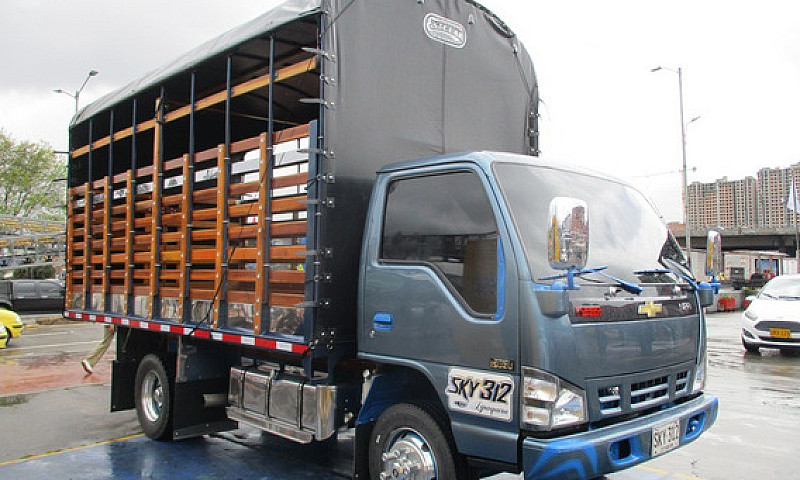 Camion Chevrolet Npr...