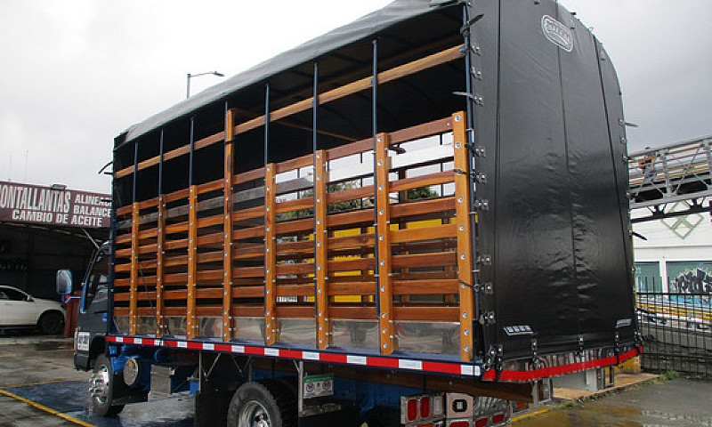 Camion Chevrolet Npr...