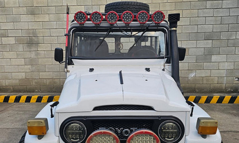 Toyota Land Cruiser ...