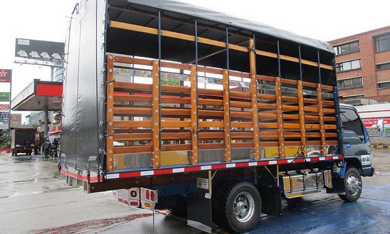 Camion Chevrolet Npr...