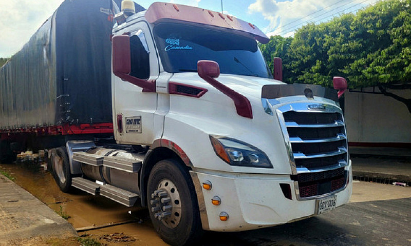 Freightliner New Cas...
