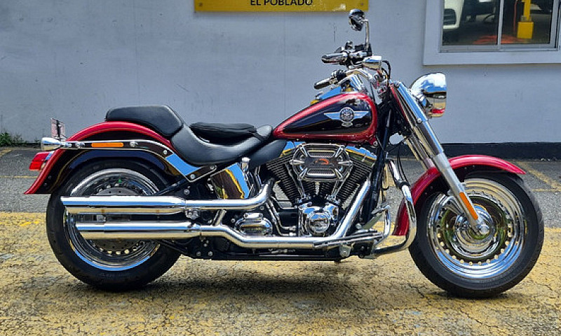 Harley Davidson Flst...