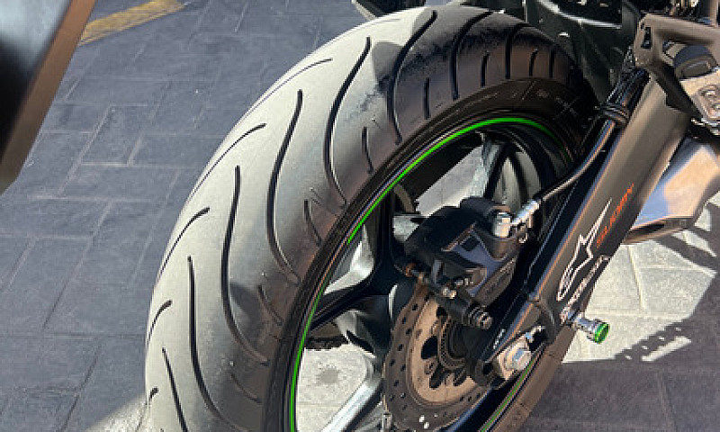 Único Dueño, Papeles...