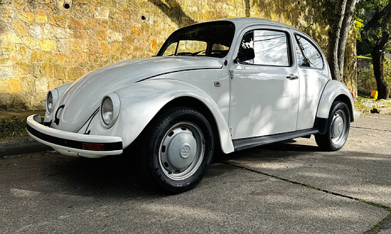 Volkswagen Escarabaj...