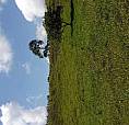 Venta  De  Finca