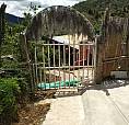 Vendo Finca Cafetera  - Felidia