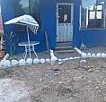 Ganga Vendo Casa Esquinera Por  Motivo De Viaje