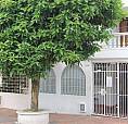 Casa Dos Pisos, Villavicencio Vivienda O Negocio. Calle 40 No. 25-79 Barrio El Emporio..