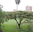 Vendo Apto Estudio Campestre Towers Cali