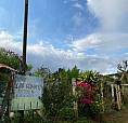 Venta De Finca: ( Vereda El Jordan) Municipio De Dagua